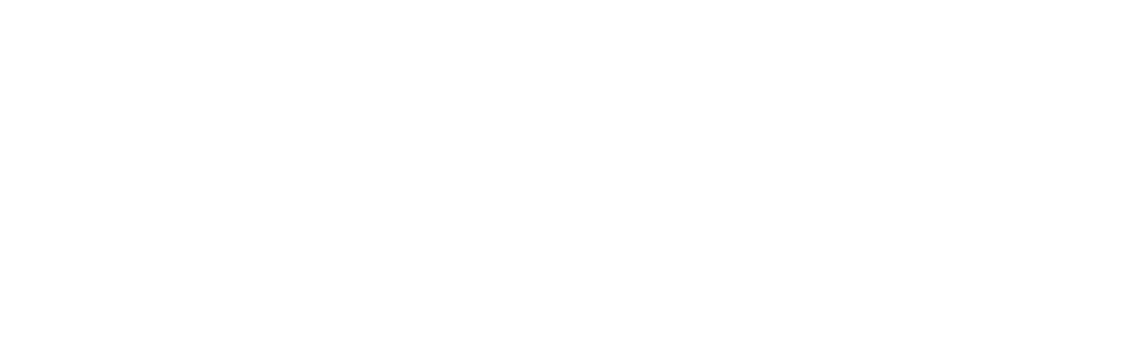 10 Mija Insititute