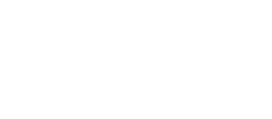 17 Silicon Central Logo