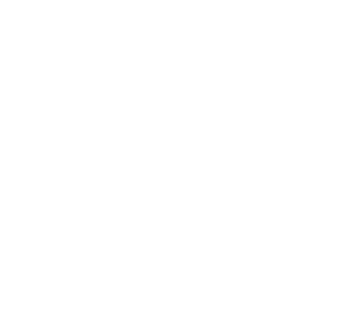 21 Burjeel Holding