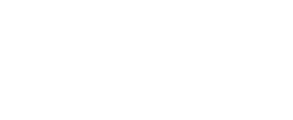 26 BNI