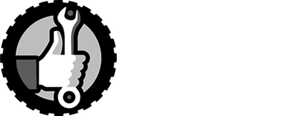 51 Saeedi Pro_