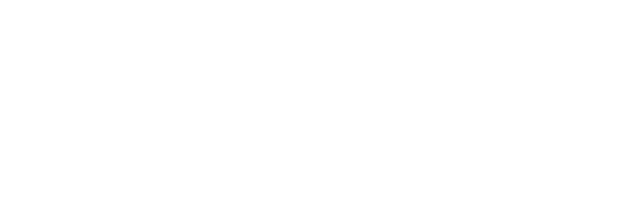 55 Chicking